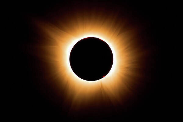 Totality by Rick Perkins