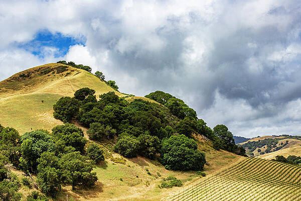 Sky Wall Art featuring the photograph Touch Of Blue by David Fountain