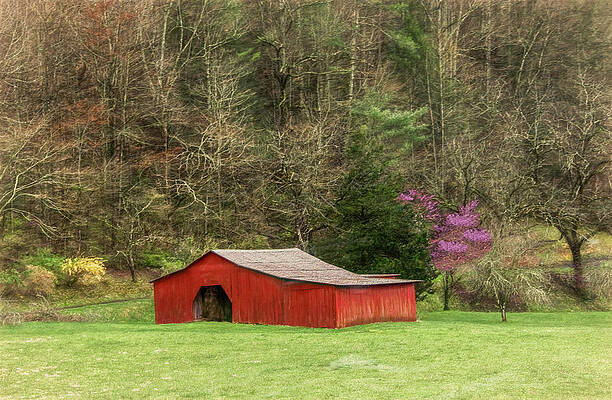 Wall Art featuring the photograph Touches Of A Townsend Spring, Tennessee by Marcy Wielfaert