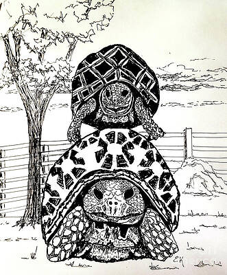 Wall Art featuring the drawing Towering Turtles by Eileen Kelly