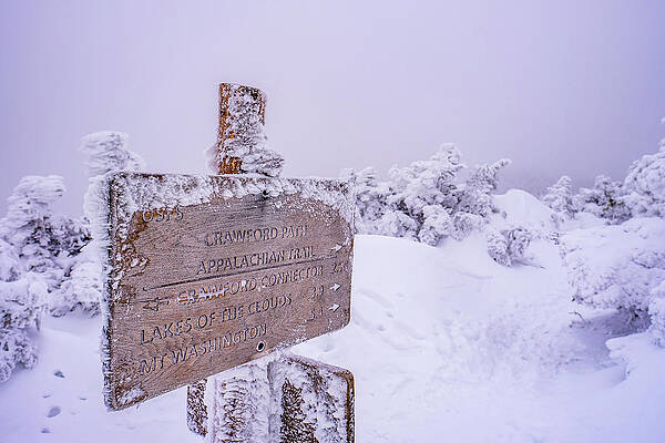 Wall Art featuring the photograph Trail Signs by Jeff Sinon