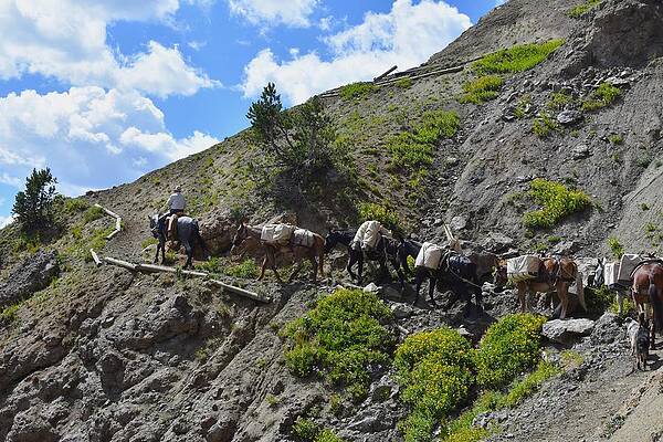 Cowboy Wall Art featuring the photograph Trail To The Sky by Alden White Ballard