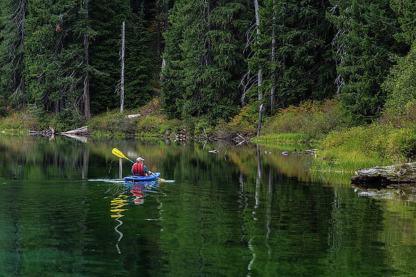 Oregon Photograph - Trailblazer by Tim Lyden