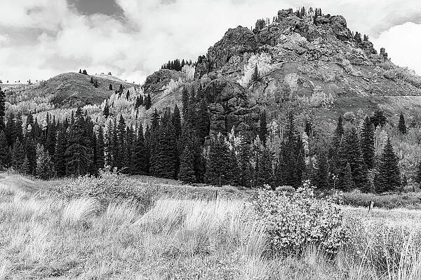 Sky Wall Art featuring the photograph Train Switchback Black And White by Steve Templeton