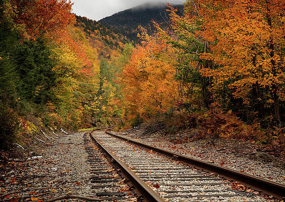 Wall Art featuring the photograph Train Tracks In Fall by Dan Sproul