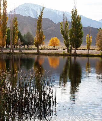 Tranquil Autumn Lake Reflection Photograph