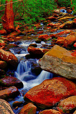 Tranquil Forest Stream Wall Art