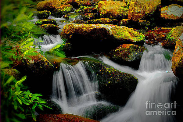 Tranquil Forest Waterfall Scene Wall Art