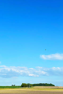 Serene Wall Art featuring the photograph Tranquil Horizons by Travel Essayist