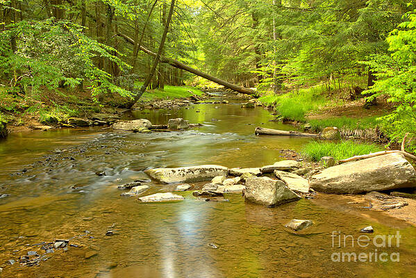Wilderness Wall Art featuring the photograph Tranquil In Toms Run by Adam Jewell