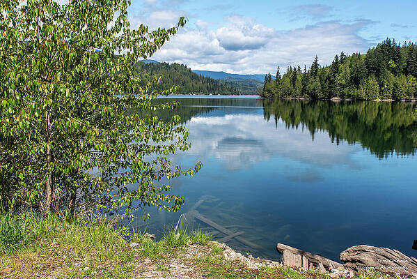 Tranquil Lake with Forest Reflection Photograph