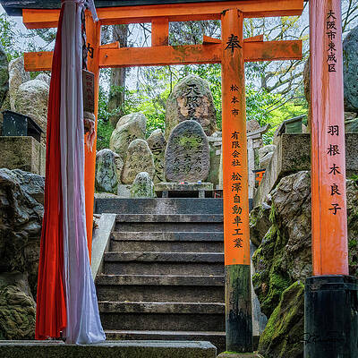Heritage Wall Art featuring the photograph Tranquil Paths In Kyoto's Torii Gates by Steven Dos Remedios