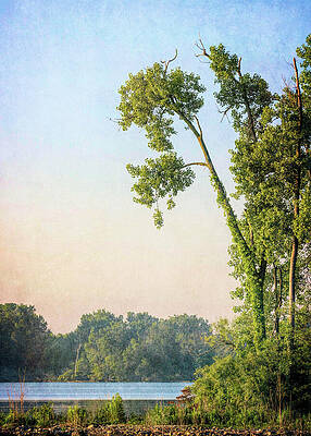 Reflection Wall Art featuring the photograph Tranquil Indian Lake At Dawn by Dan Sproul