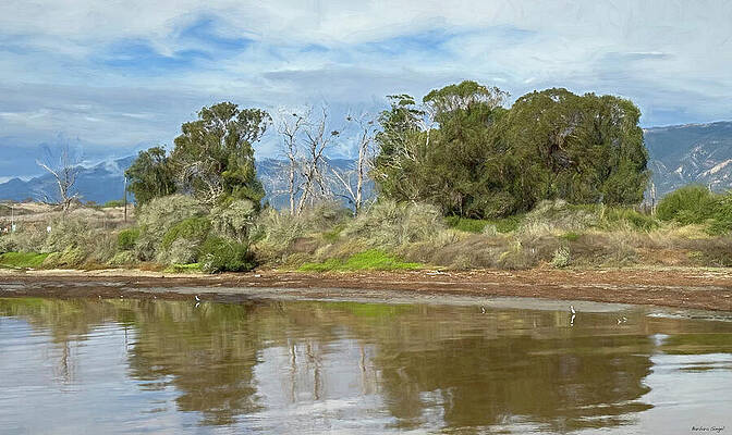 Tranquil Riverside Scene Photograph