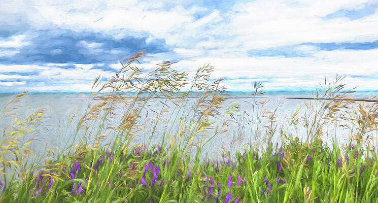 Flower Wall Art featuring the photograph Tranquility by Elvira Peretsman