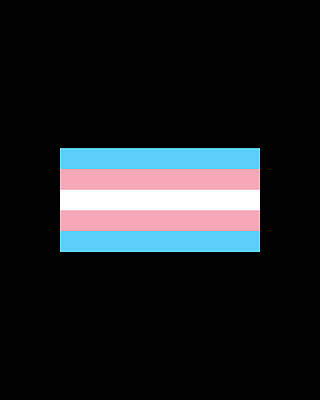 Cool Wall Art featuring the digital art Transgender Pride Flag by Flippin Sweet Gear