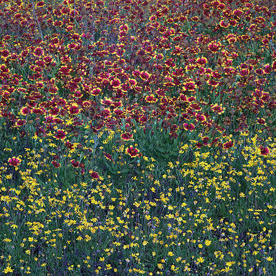 Wall Art featuring the photograph Transition by Slow Fuse Photography