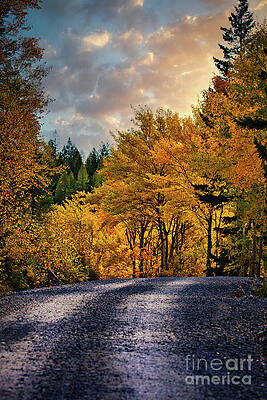 Wall Art featuring the photograph Travel Through Fall by Thomas Nay