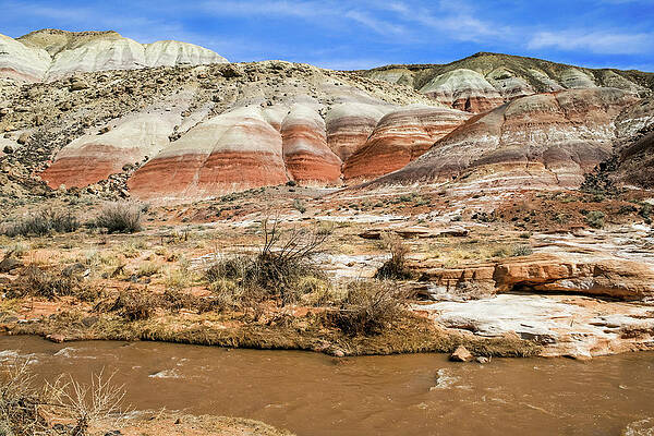 Utah Wall Art featuring the photograph Traveling In Utah by Diane Moller