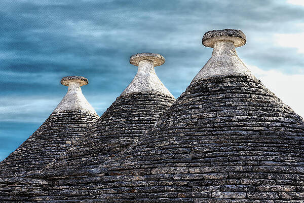 Bold Wall Art featuring the photograph Tre Amici Standing Tall by Elvira Peretsman