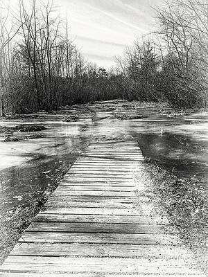 Photograph - Treacherous Path by Steven Nelson