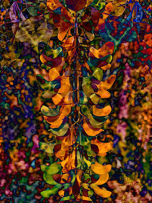 Abstract Photograph - Tree Flower -mirrored by Bruce Block