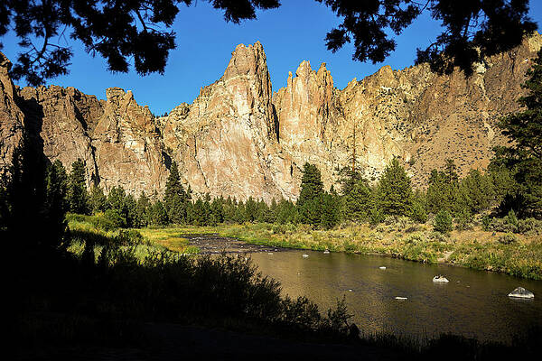 Oregon Photograph - Tree Framed Smith Rock by Diane Moller