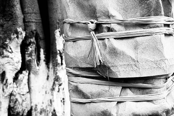 Rustic Wrapped Tree Trunk Wall Art