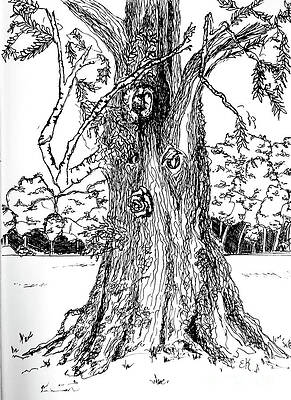 Wall Art featuring the drawing Tree Of Thought by Eileen Kelly