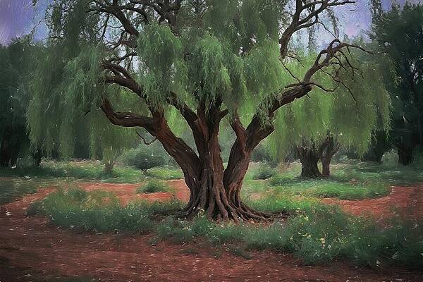 Serene Digital Art - Tree Painting Of Mystical Willow Tree by Nature Oil Painting