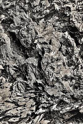 Wall Art featuring the photograph Tree Stump by John Linnemeyer