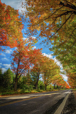 Michigan Wall Art featuring the photograph Tree Tunnel On M22 by Owen Weber