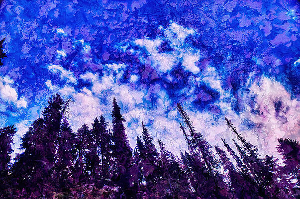 Sky Digital Art - Trees And Sky by Bruce Block
