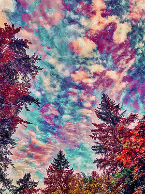 Wall Art featuring the digital art Trees And Sky With A Lichen Texture Overlay by Bruce Block