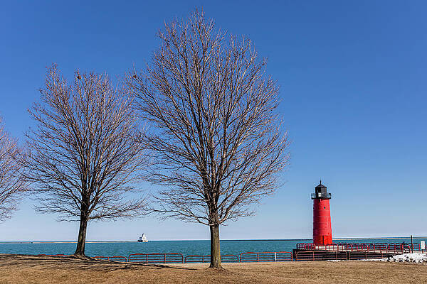 Tree Wall Art featuring the photograph Trees Awaiting Spring by Craig A Walker