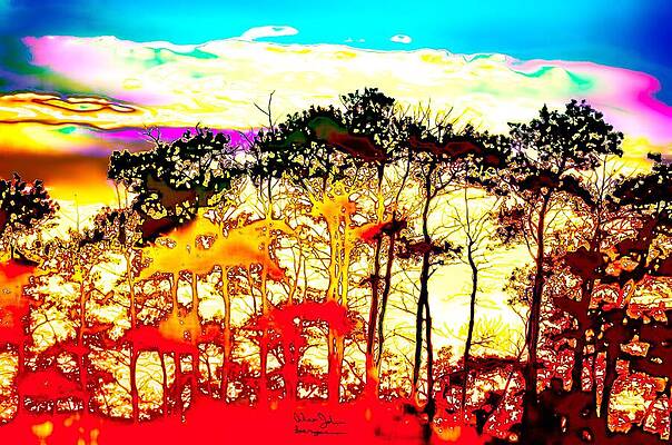 Wall Art featuring the photograph Al- Up In Front by Alex John Bergerman