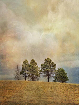 Wall Art featuring the photograph Trees On A Hill Under An Imaginary Sky by Mary Lee Dereske