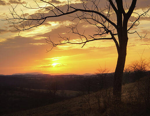 Landscape Photograph - Trexler Nature Preserve Early March Sunset by Jason Fink