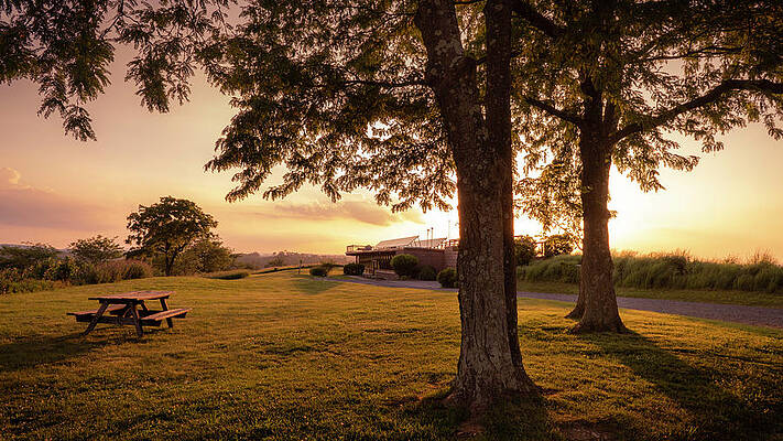Reflection Wall Art featuring the photograph Trexler Nature Preserve Picnic By Sunset by Jason Fink