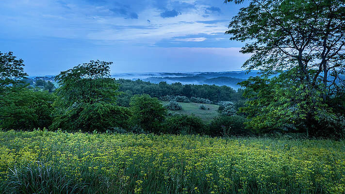 Landscape Photograph - Trexler Nature Preserve Yellow Fields Foggy Valleys by Jason Fink