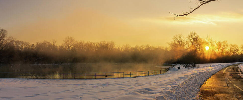 Nature Wall Art featuring the photograph Trexler Park Pond Foggy Winter Sunrise by Jason Fink