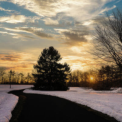 Sunrise Wall Art featuring the photograph Trexler Park - Upper Paths Winter Sunrise Square by Jason Fink