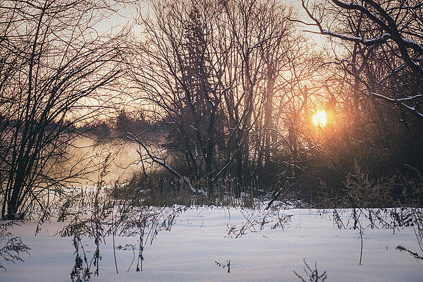 Sunrise Wall Art featuring the photograph Trexler Park Winter Meadow Sunrise by Jason Fink