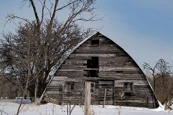 Michigan Photograph - Triangular Barn by Vi Ray
