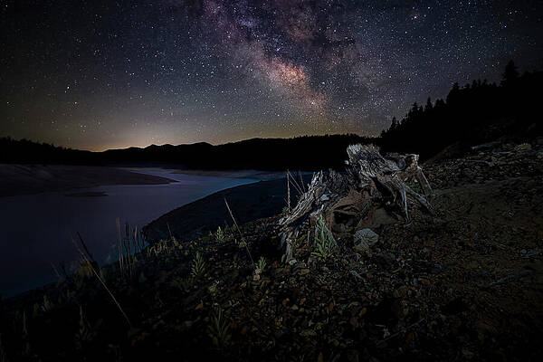 American Wall Art featuring the photograph Trinity Stump And Stars by Mike Lee
