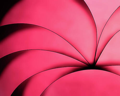 Abstract Wall Art featuring the photograph Tropical Dream - Paper Abstract by Elvira Peretsman