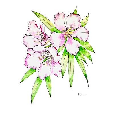 Tropical Flower in Opera Rose by Catherine Bede