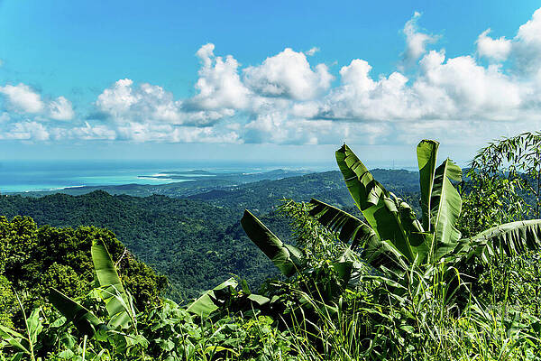 Tropical Rio Grande Hillside with Ocean View by Beachtown Views