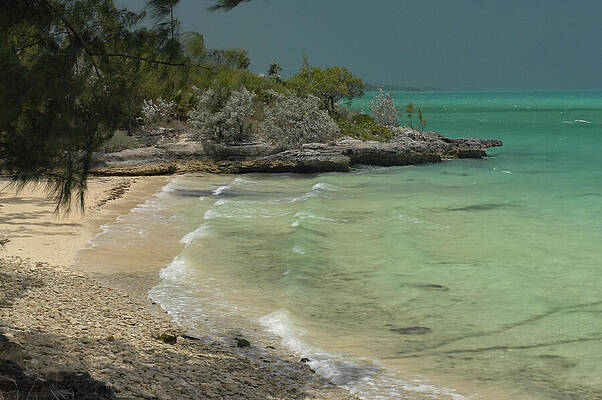 Wall Art featuring the photograph Tropical Shorelines Lapping Waves by Bonnie Colgan