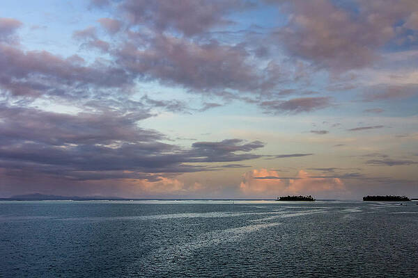 Photograph - Tropical Twilight by Craig A Walker